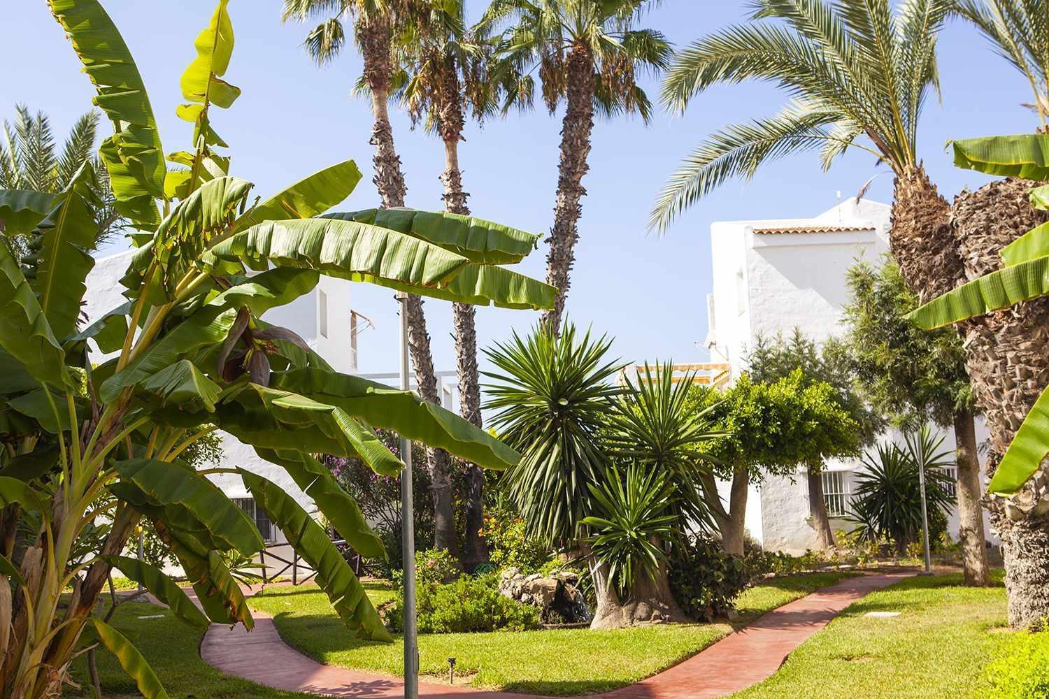 דירות טורוקס A 100M De Playa Piscina Y Todos Los Servicios מראה חיצוני תמונה