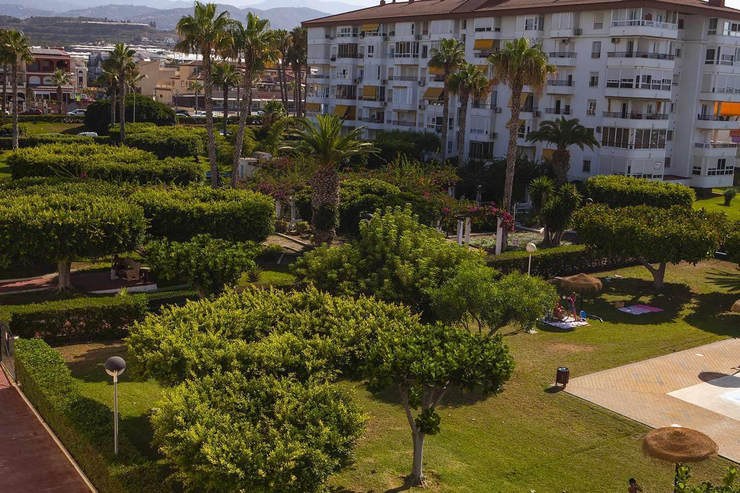 דירות טורוקס A 100M De Playa Piscina Y Todos Los Servicios מראה חיצוני תמונה
